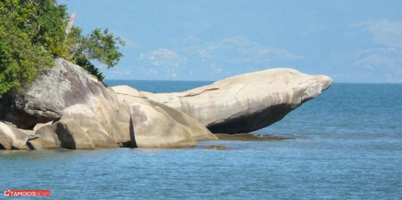 Apto Lindo E Aconchegante Com Piscina 202A Caraguatatuba Eksteriør bilde
